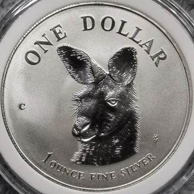 1995年澳大利亚袋鼠1盎司投资银币（Australian Kangaroo 1oz Silver Coin）✨