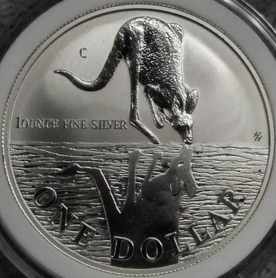 1995年澳大利亚袋鼠1盎司投资银币（Australian Kangaroo 1oz Silver Coin）✨