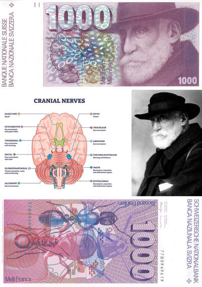 最有特色的一套瑞士钞。