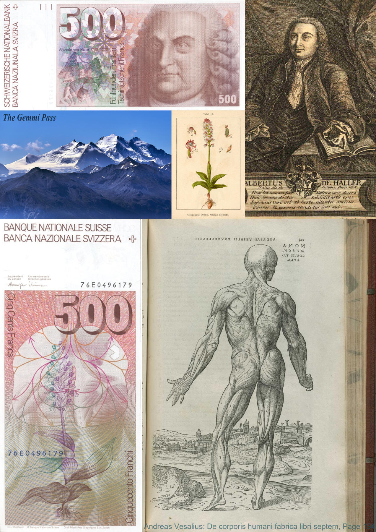 最有特色的一套瑞士钞。