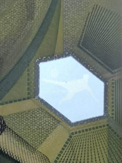 俄罗斯世界杯纪念钞