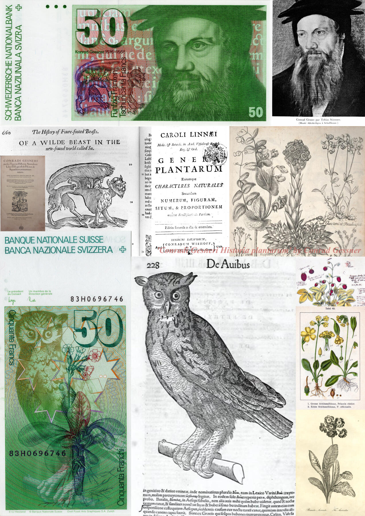 最有特色的一套瑞士钞。