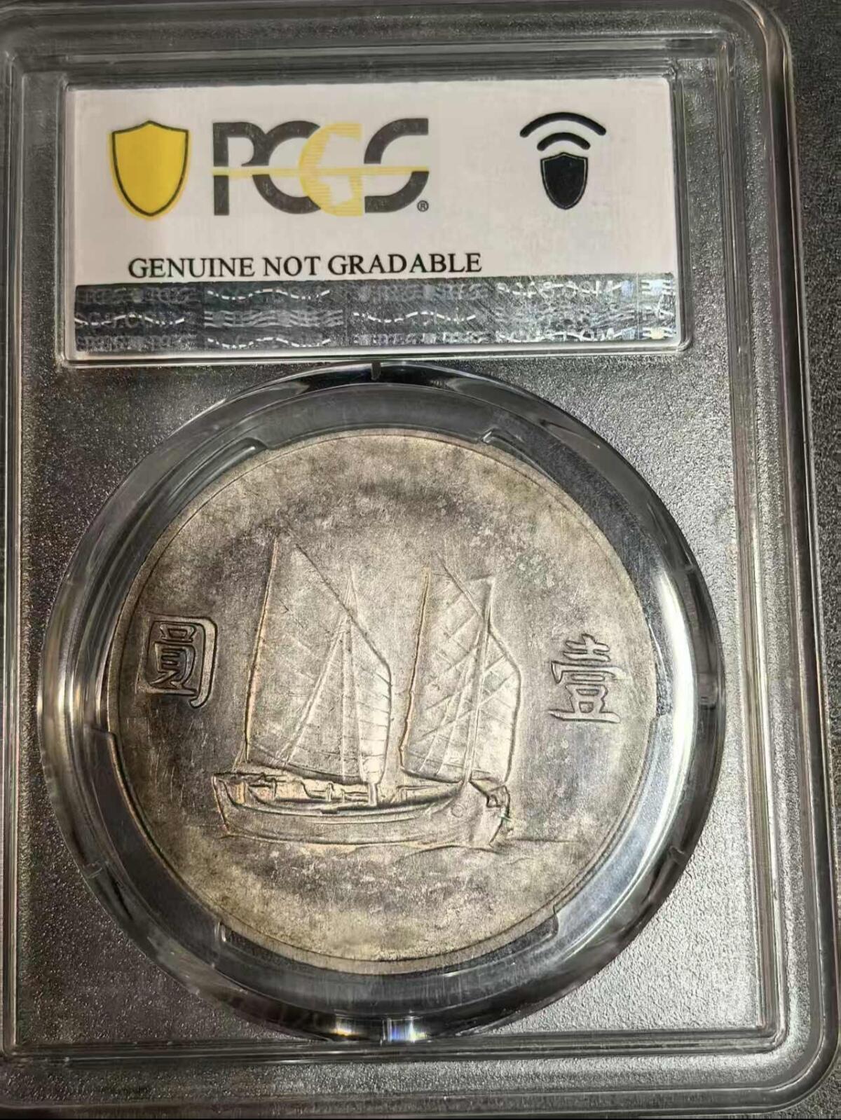 今天拍下来的 2026/3/15