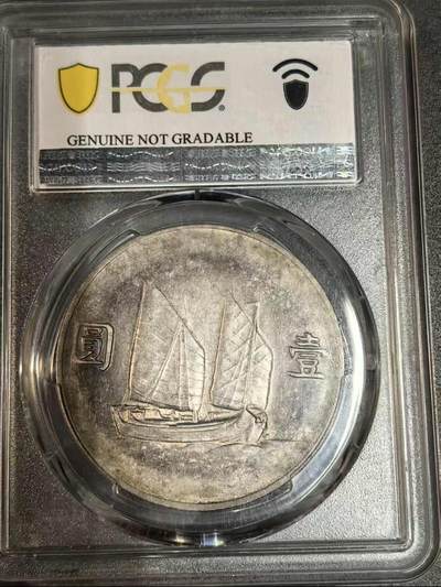 今天拍下来的 2026/3/15