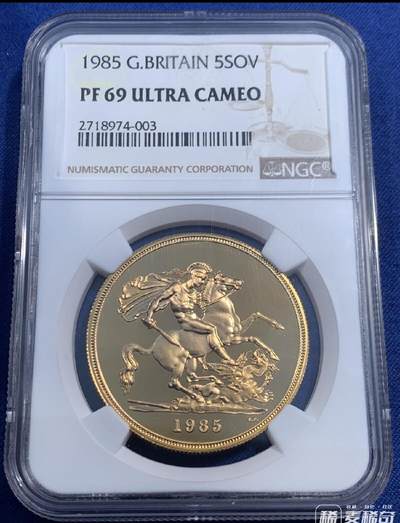 美美的金币，欣赏