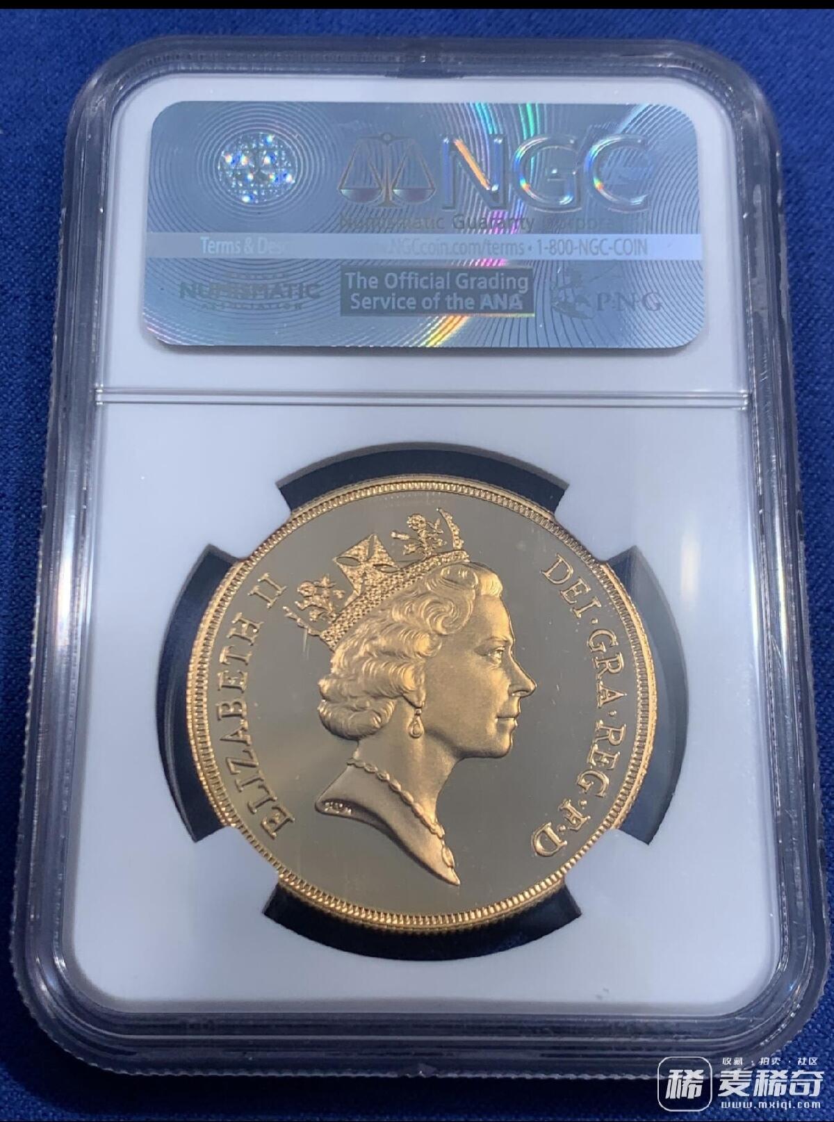 美美的金币，欣赏