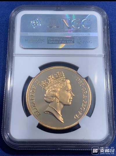 美美的金币，欣赏