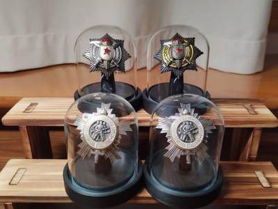 南斯拉夫大银坨子