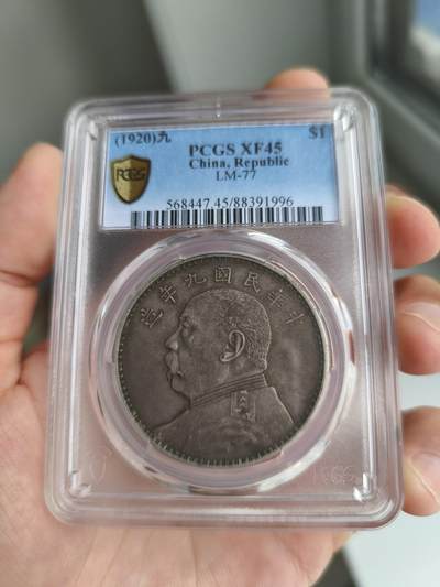 味道不错的九精