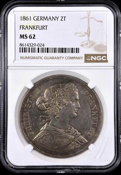 欣赏，少女泰勒