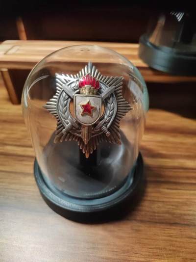 南斯拉夫大银坨子