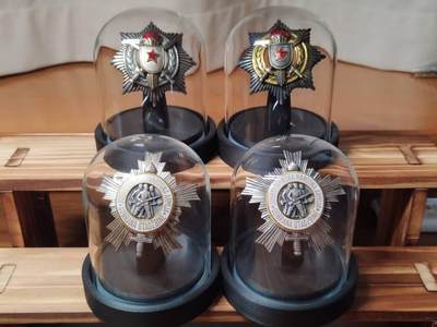 南斯拉夫大银坨子