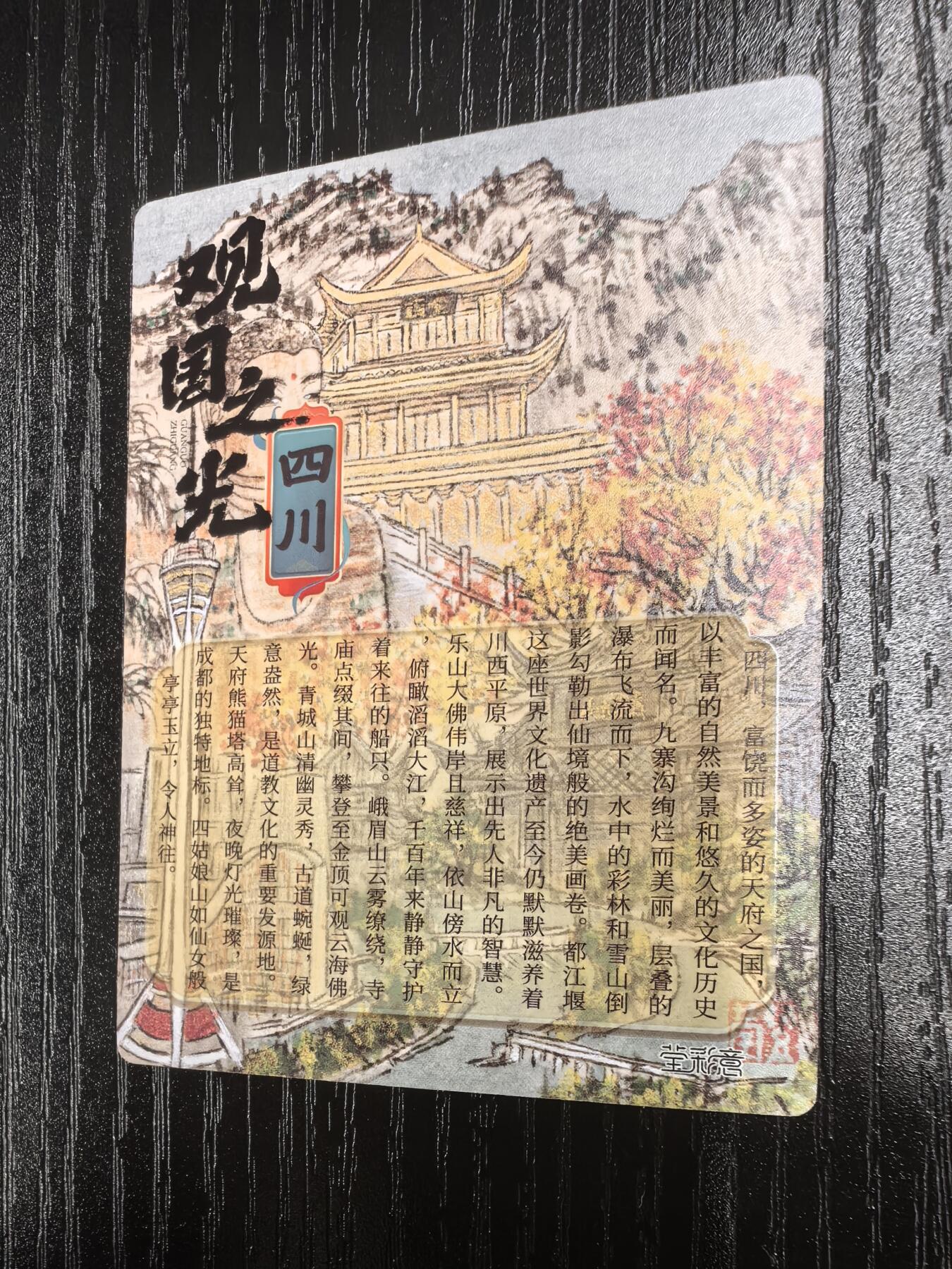 莹彩意-董洁莹《观国之光》（四川）