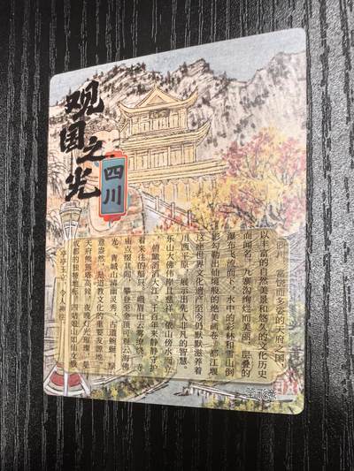 莹彩意-董洁莹《观国之光》（四川）