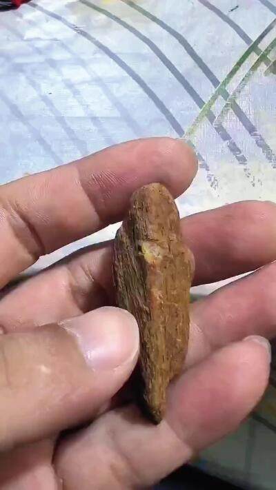 富森红土沉水5克