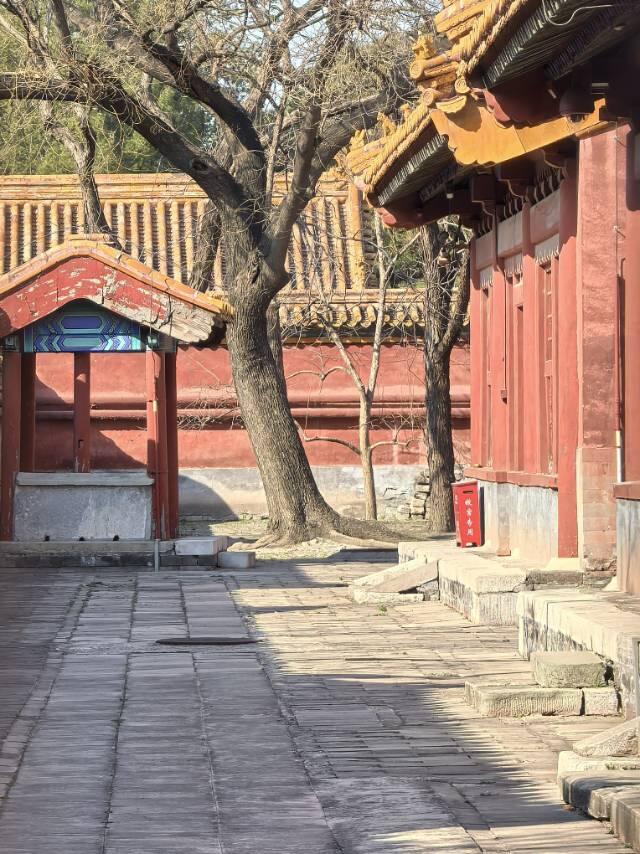 故宫未开放区域