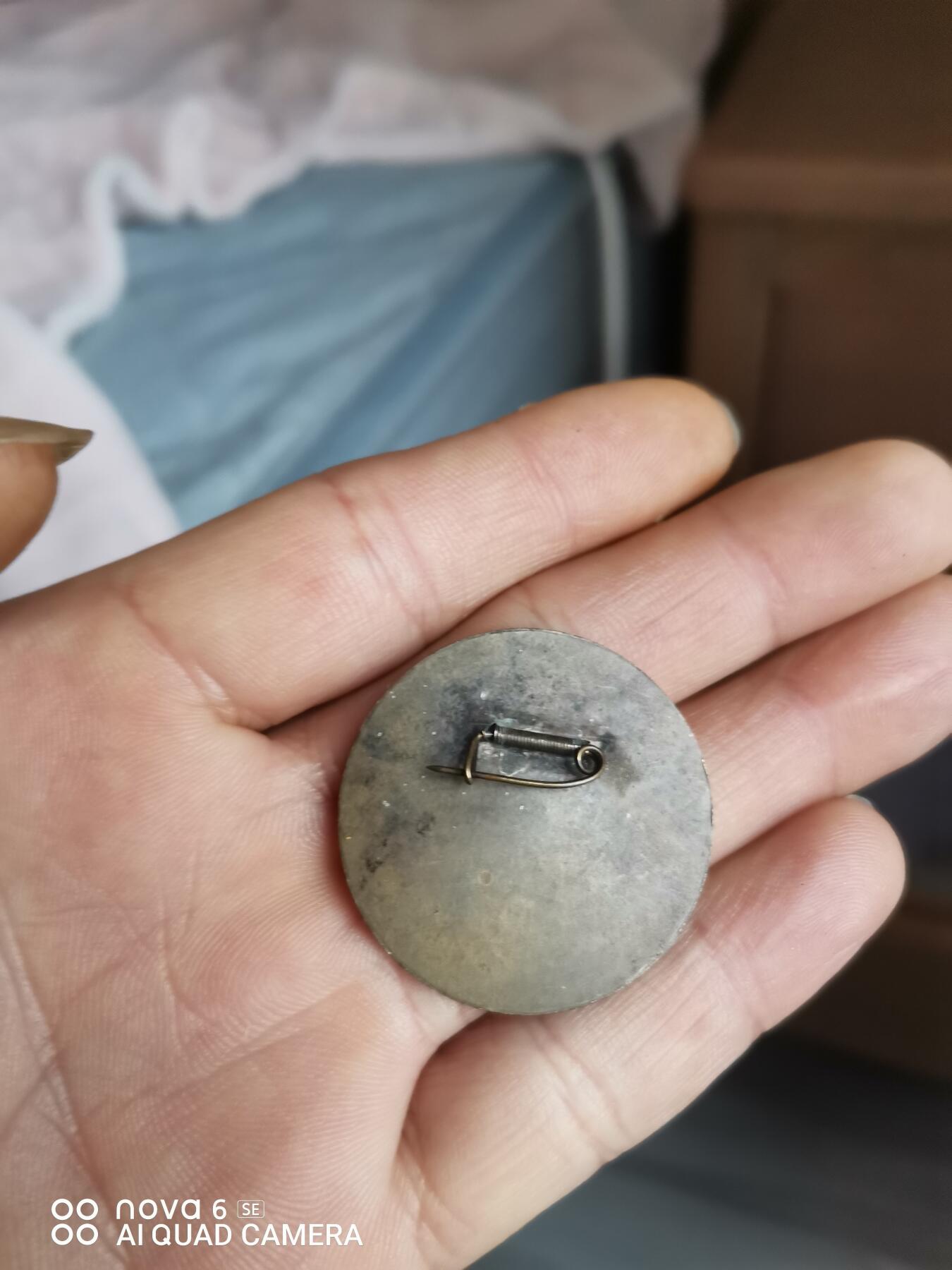 一枚功勋像章加一枚北洋龙，有需要联系