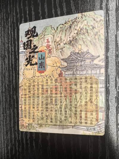 莹彩意-董洁莹《观国之光》（山东）