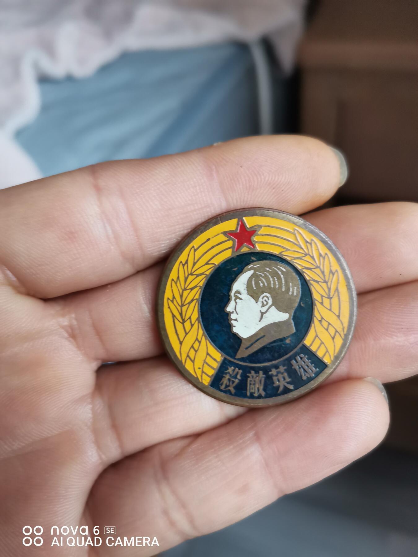 一枚功勋像章加一枚北洋龙，有需要联系