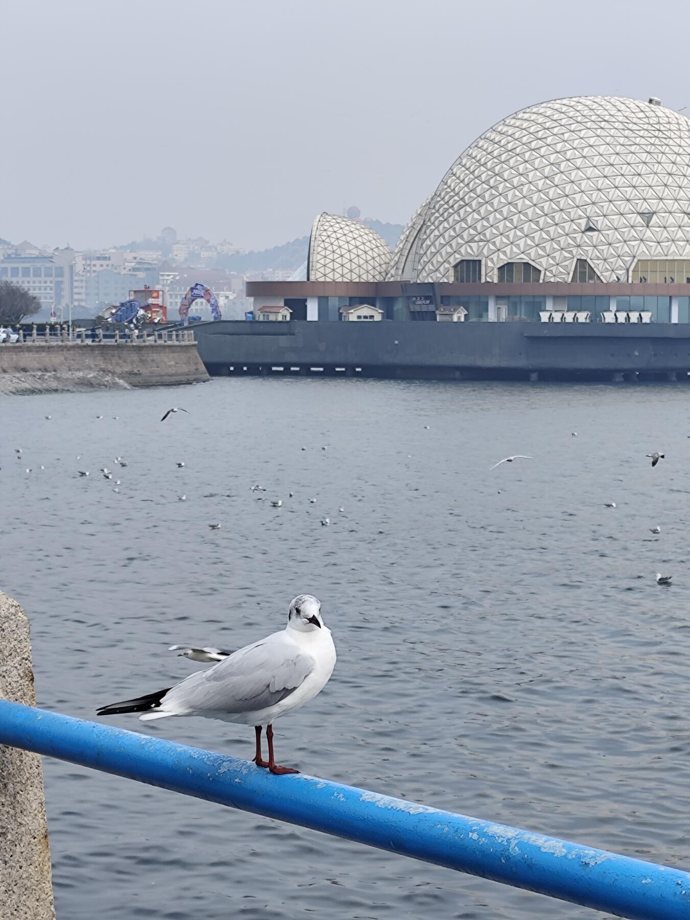 🏦 青岛市农工银行叁拾枚铜元券
