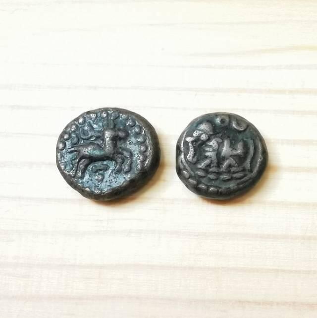 迈索尔的小铜豆