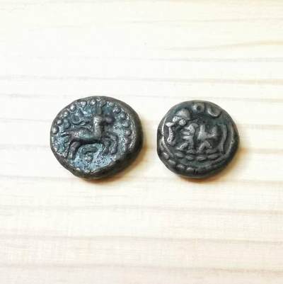 迈索尔的小铜豆