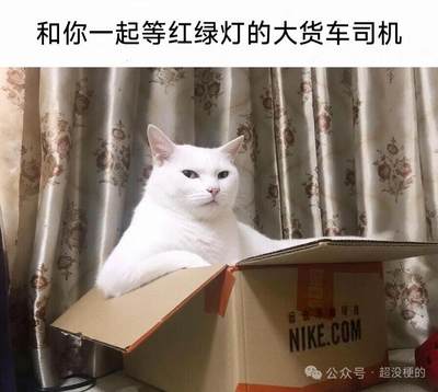 纸币两张