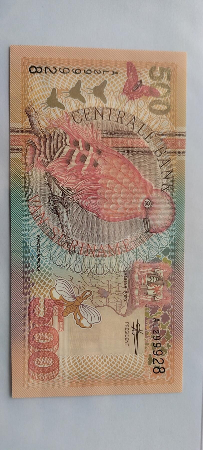  动冠伞鸟生活在南美洲东北部的森林地区，热带雨林，附近的有岩石裸露的是首选的栖息地。该鸟已列入《世界