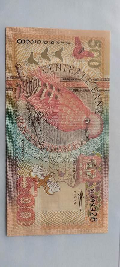  动冠伞鸟生活在南美洲东北部的森林地区，热带雨林，附近的有岩石裸露的是首选的栖息地。该鸟已列入《世界