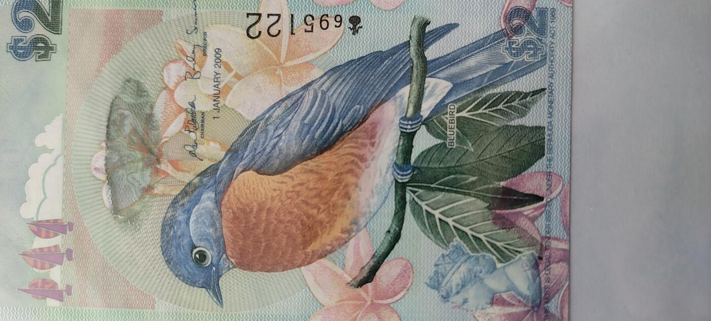 正面：蓝鸟 Bluebird（拉丁名：Sialia）
背面：百慕大皇家海军船舶修造厂及其钟塔，