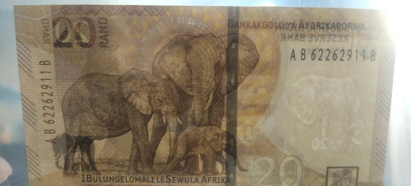 正面曼德拉头像、头像两侧的微缩文字取自南非宪法序言、英文行名和国徽背面：三头非洲象、茨瓦纳语行名。