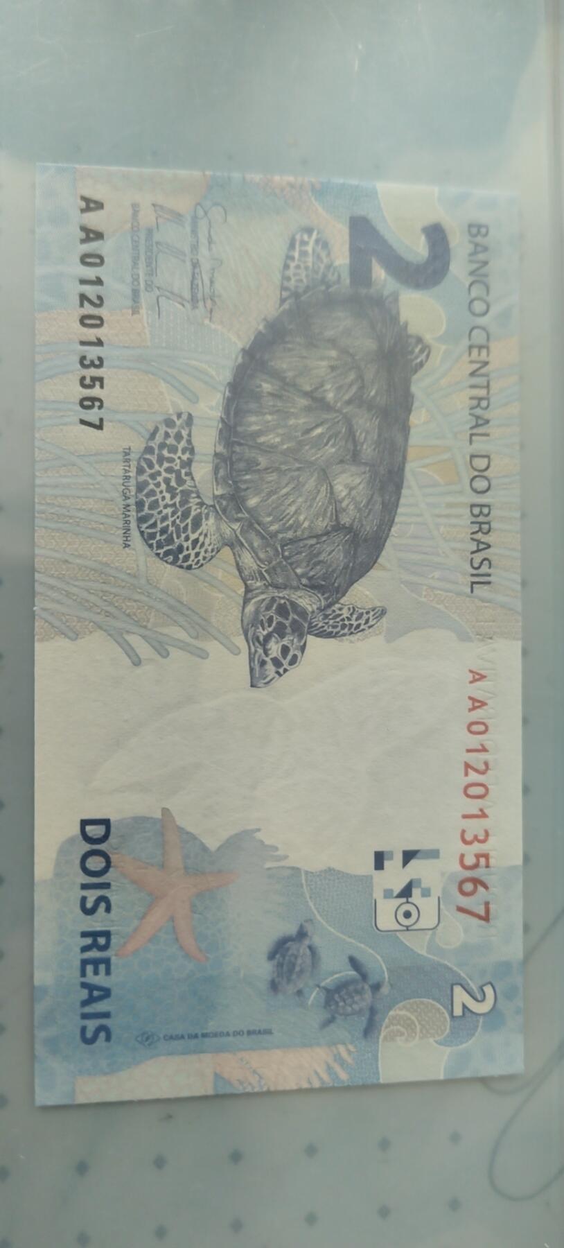 2雷亚尔背面为玳瑁海龟，濒危海洋生物。