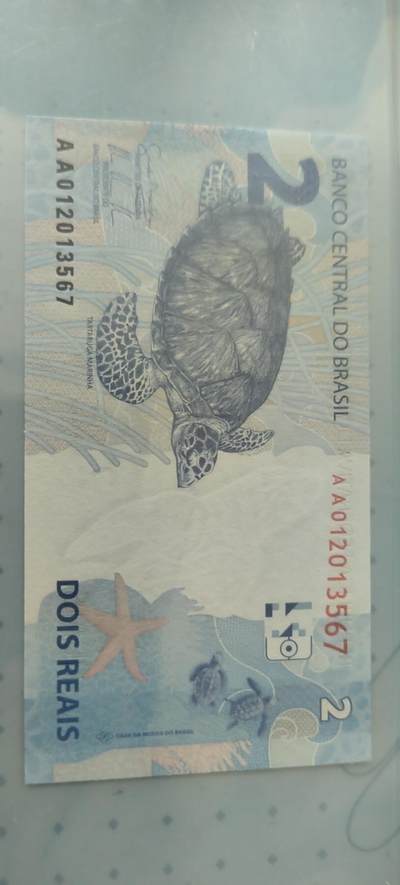 2雷亚尔背面为玳瑁海龟，濒危海洋生物。