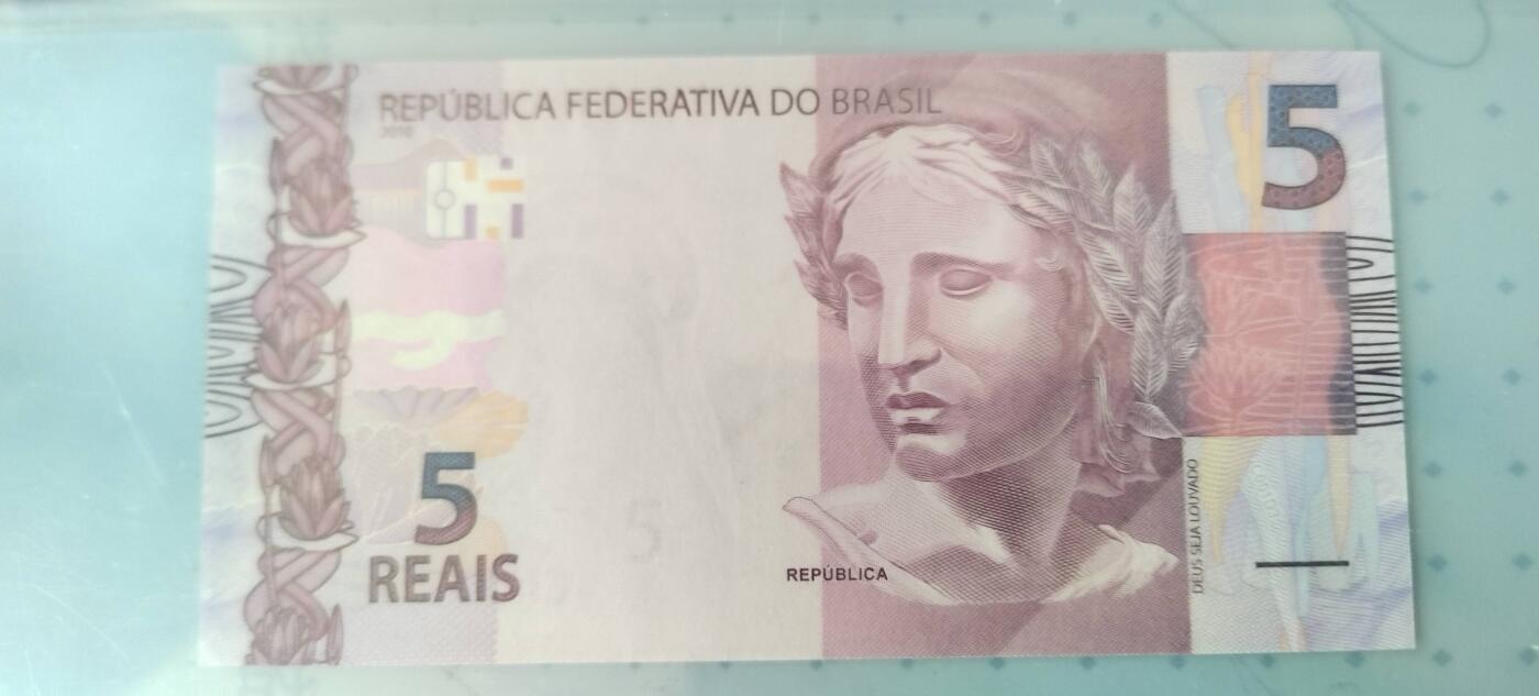 5雷亚尔的背面是大白鹭，巴西湿地常见鸟类。
10雷亚尔背面的红绿金刚鹦鹉是亚马逊雨林标志性物种。