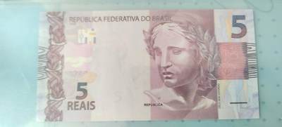 5雷亚尔的背面是大白鹭，巴西湿地常见鸟类。
10雷亚尔背面的红绿金刚鹦鹉是亚马逊雨林标志性物种。