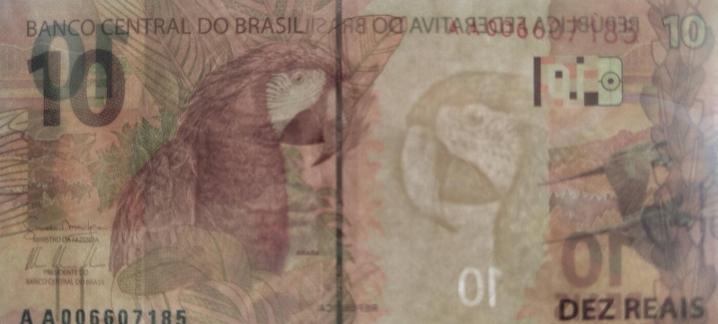 5雷亚尔的背面是大白鹭，巴西湿地常见鸟类。
10雷亚尔背面的红绿金刚鹦鹉