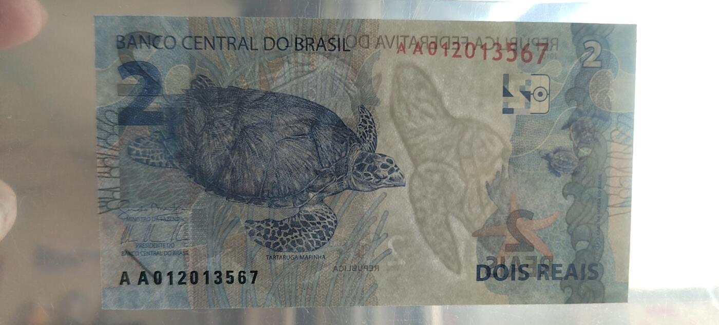 2雷亚尔背面为玳瑁海龟，濒危海洋生物。