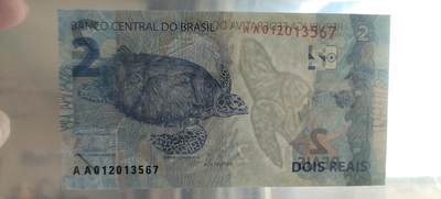 2雷亚尔背面为玳瑁海龟，濒危海洋生物。