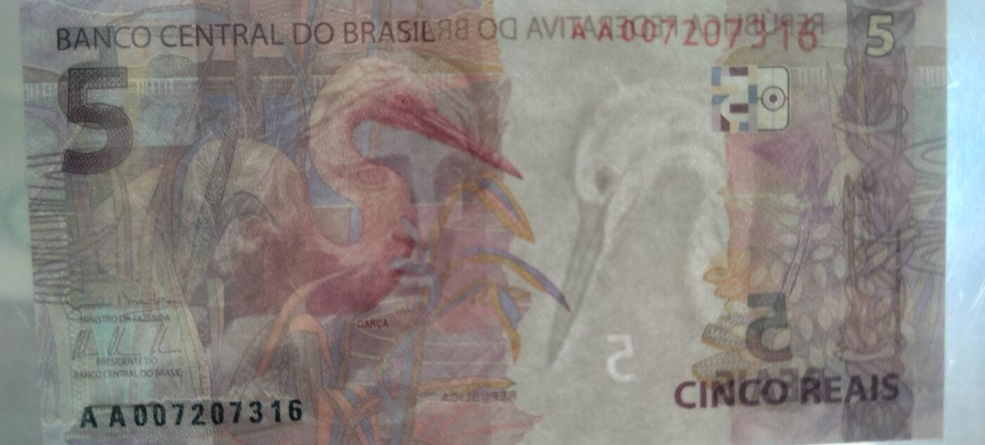 5雷亚尔的背面是大白鹭，巴西湿地常见鸟类。
10雷亚尔背面的红绿金刚鹦鹉是亚马逊雨林标志性物种。