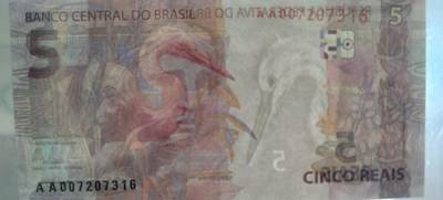 5雷亚尔的背面是大白鹭，巴西湿地常见鸟类。
10雷亚尔背面的红绿金刚鹦鹉是亚马逊雨林标志性物种。