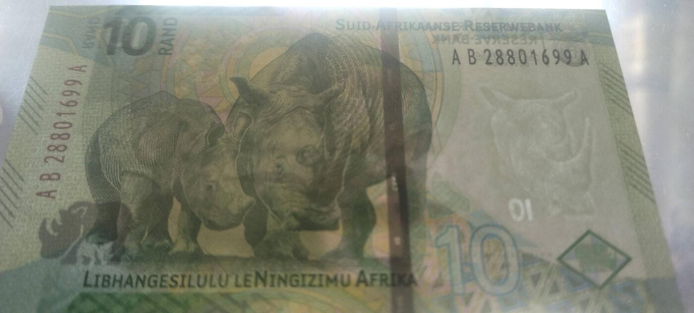 正面：曼德拉头像、头像两侧的微缩文字取自南非宪法序言、英文行名和国徽背面：两头白犀牛、南非荷兰语行名