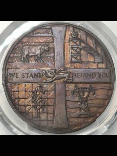 罗德西亚独立宣告铜章