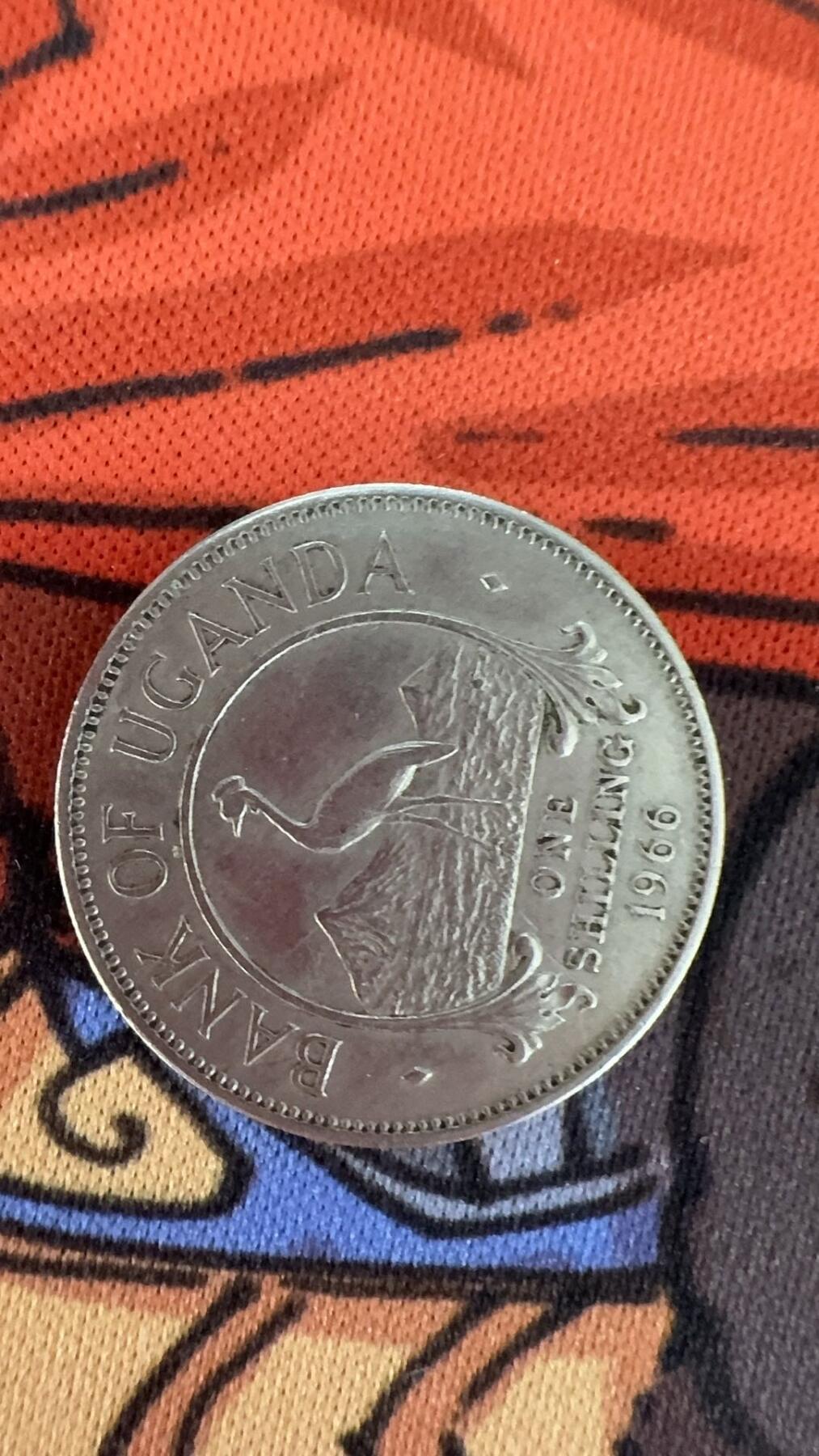 就问你好不好看