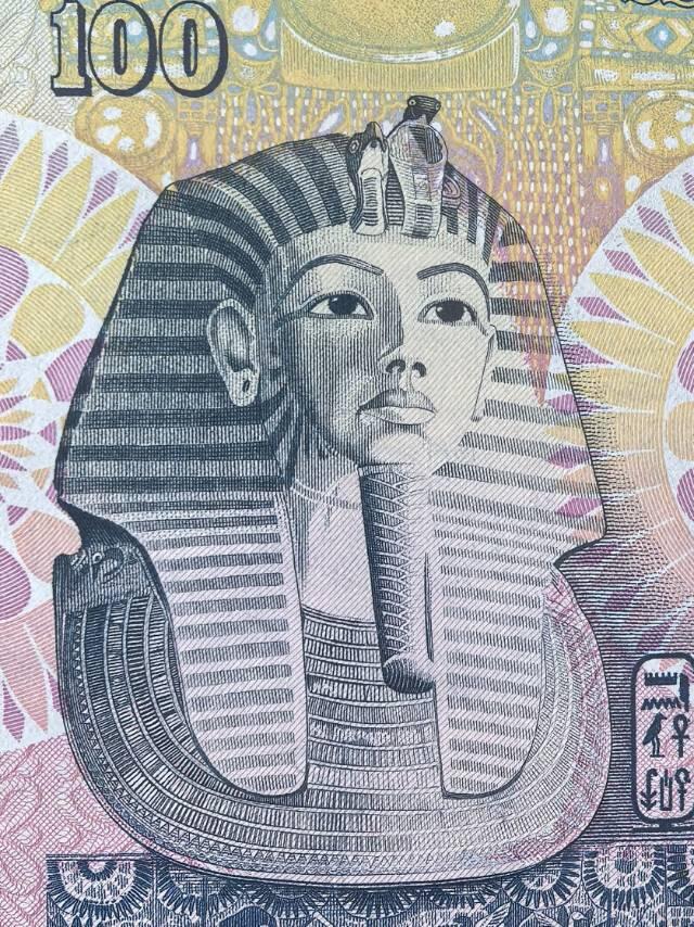 埃及100镑