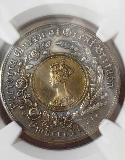 英国1848双色克朗试铸模型币