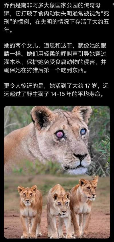 一个令人略微动容的故事