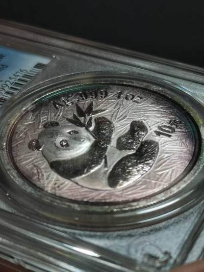 2000年熊猫银币赏析