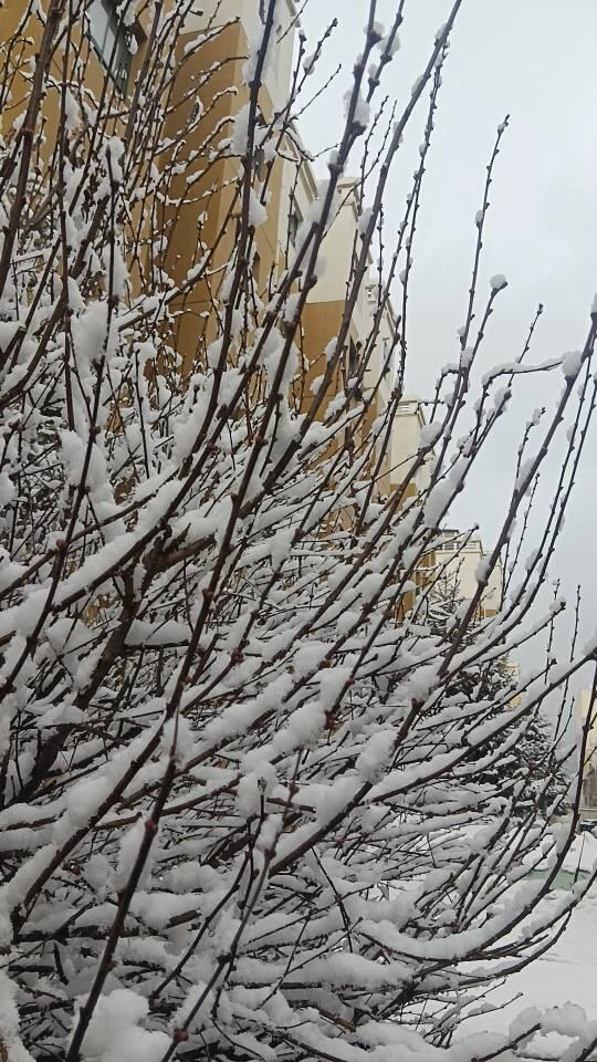 关金券奇葩面额