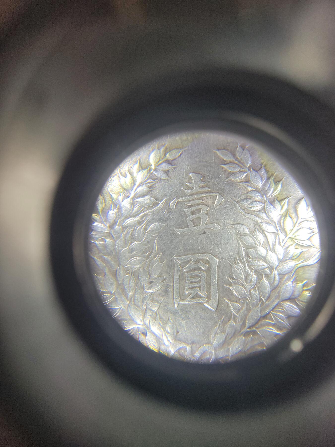 求助鉴定大头。