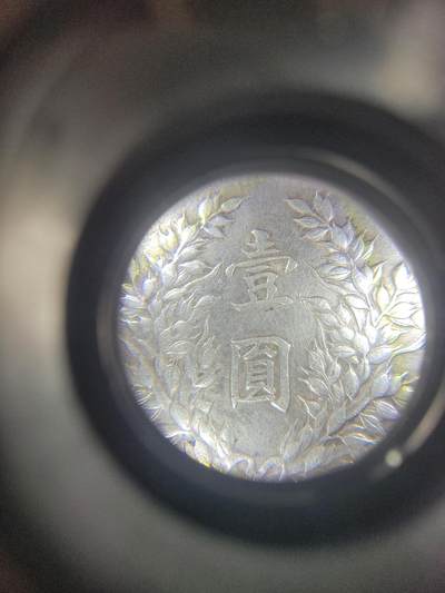 求助鉴定大头。